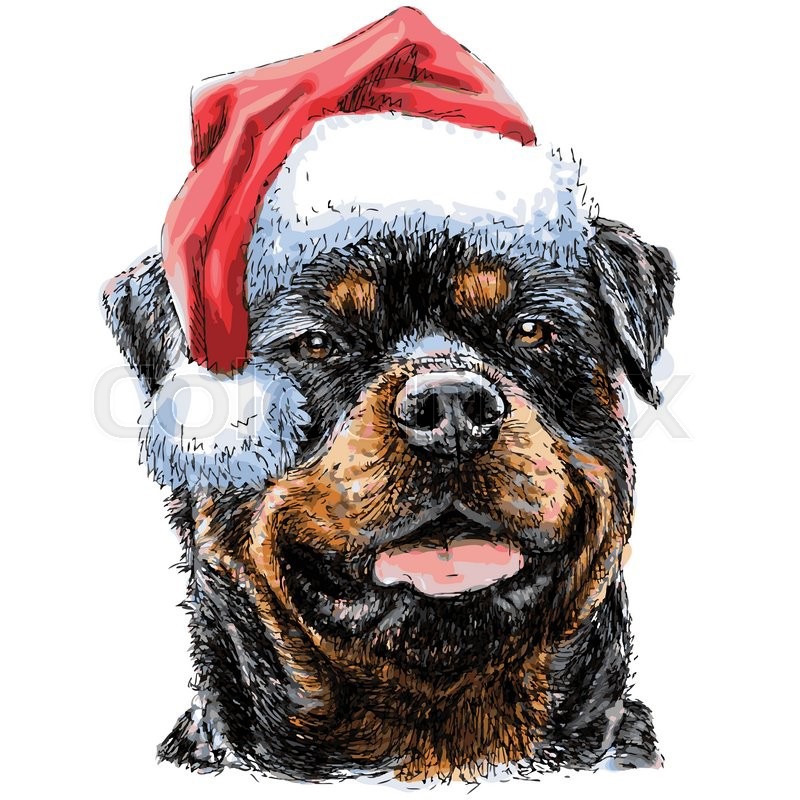 santa rott